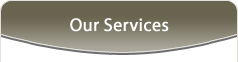 Our Services